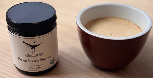 A Comprehensive Deep Dive Into Reishi Mushroom